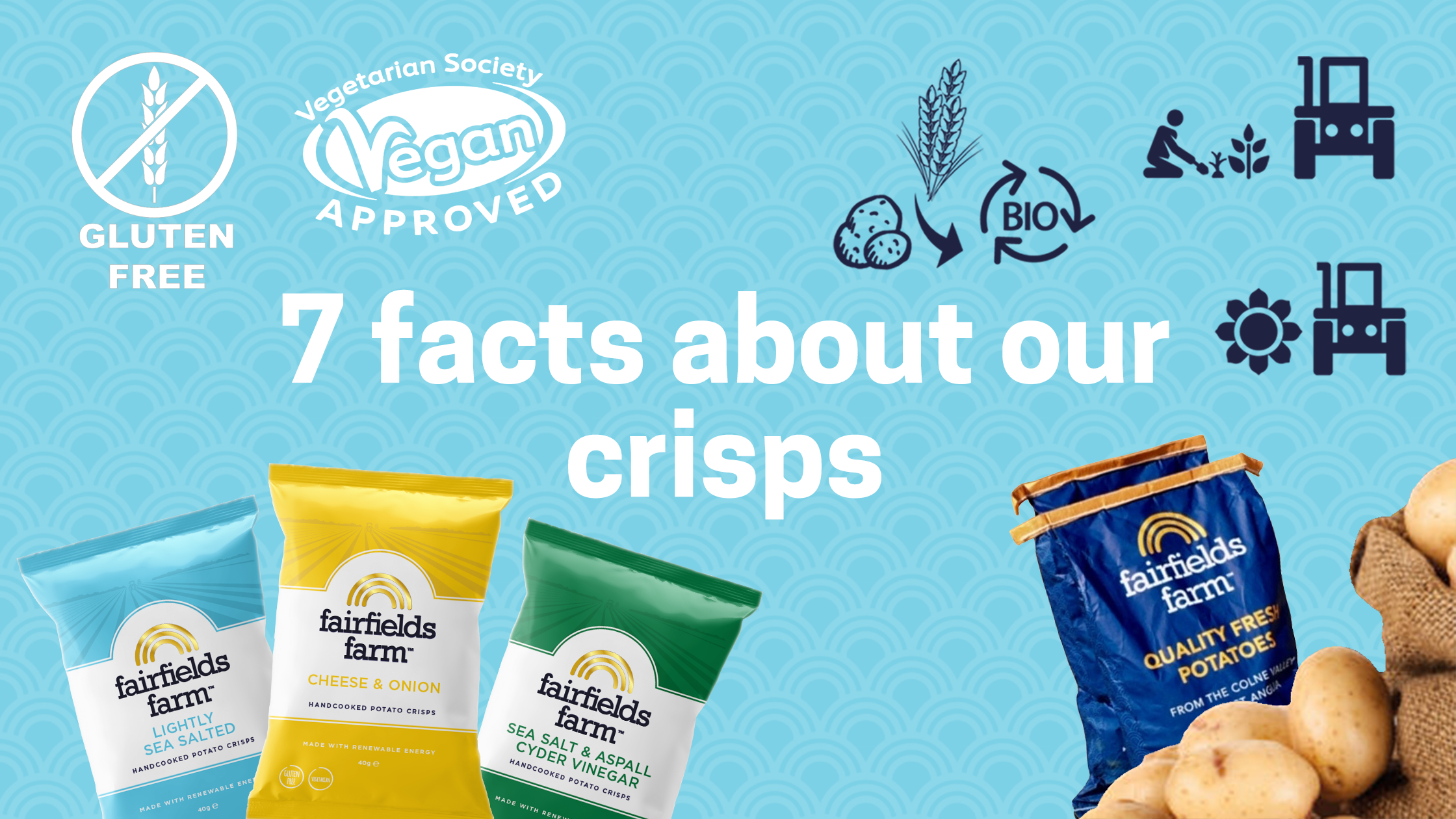7 facts that you might not know about our hand cooked crisps